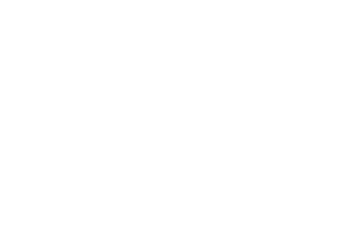 Partenaire 2
